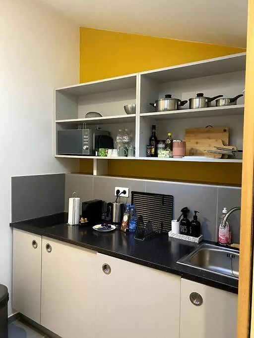 Modern Parisian Flat In Montparnasse Area Apartment  Paris